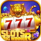 Big Winner Slot Pro