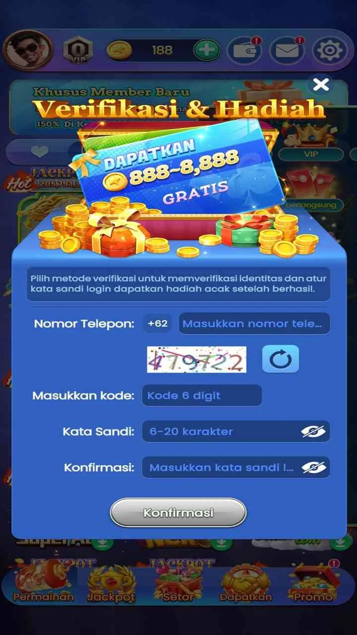 Hoki screenshot